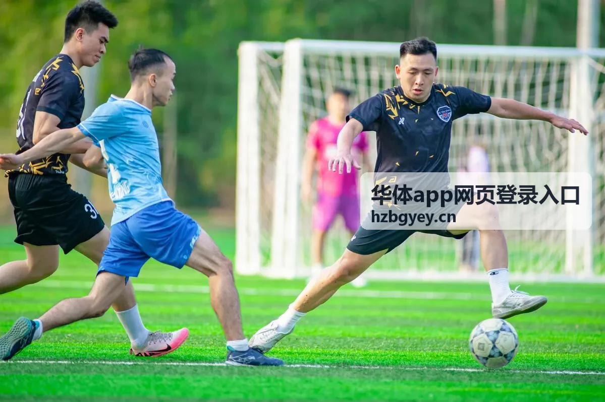 登录页面无法打开的排查说明封面